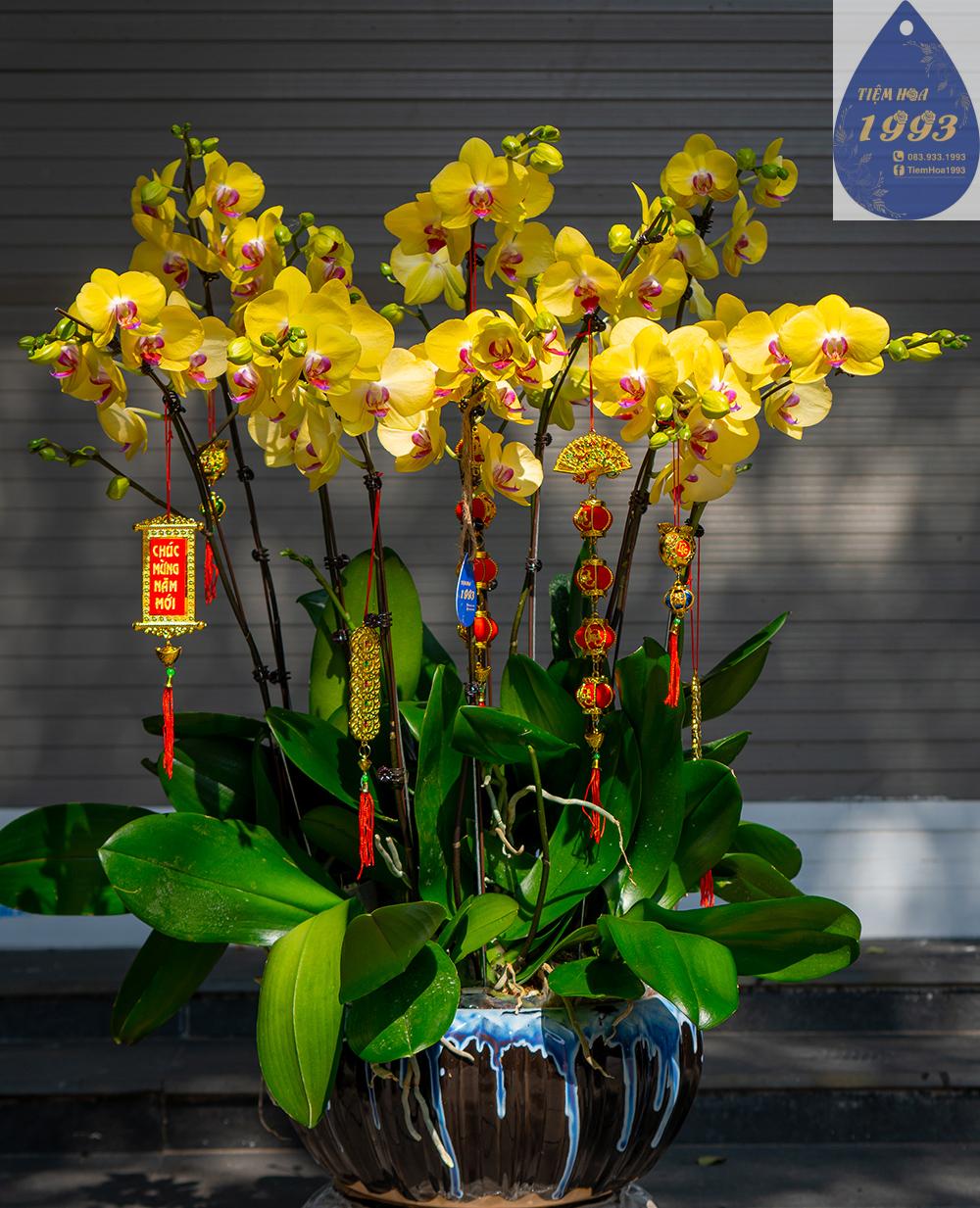 vang-cach-cach-10-cay-4tr-2