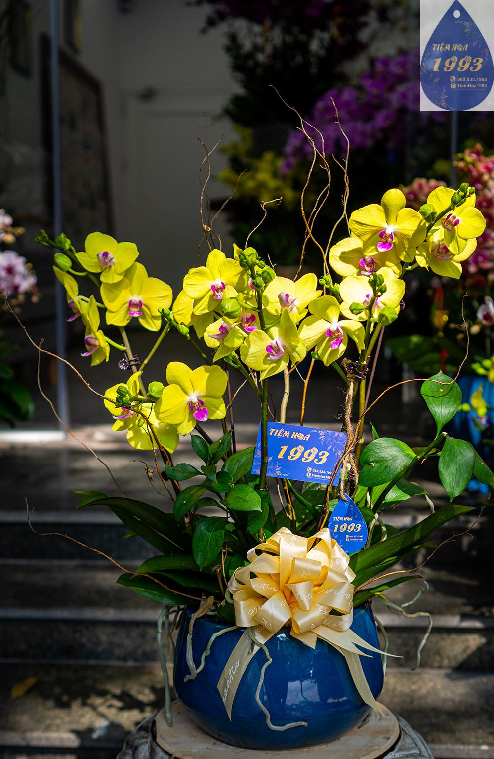 vang-cach-cach-1tr1-2